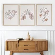 Quadro Decorativo Anatomia Humana, decoração casa Quadro Decorativo. coração, pulmao. cerebro