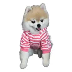 Camiseta Com Capuz Pet Roupa Para Cães Cachorros Macho E Fêmea Tam PP P M G GG