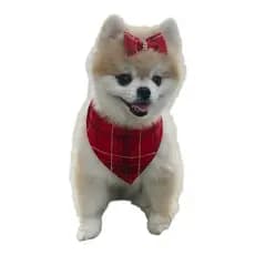 BANDANA PARA PET DE NATAL NA COR XADREZ VERMELHO, CACHORRO OU GATO, TAMANHOS, P, M, G.