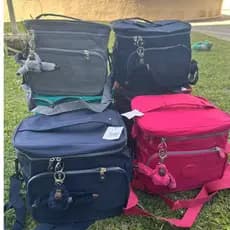 Bolsa Lancheira Térmica Grande Feminina Masculina Ideal Para Academia Passeio Fitnes Escolar