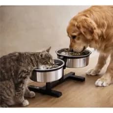 Comedouro Duplo Ajustavel Para Caes e Gatos Tigela em Aluminio