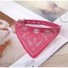 4 Peças Estilo Festa : Óculos Coloridos Para Animais De Estimação