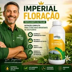 Adubo Foliar para Maracujá Flor Mamangava 1 Litro Imperial Floração