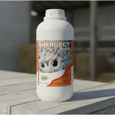 Energect Aves 1Litro Para Aves Galinhas Galo Codornas Granja, Postura Frangos Crescimento