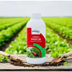 Fertilizante Fósforo Liquido P30 1 Litro.