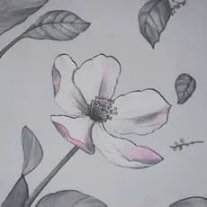 Papel de Parede Floral Adesivo Autocolante Decoração Quarto Sala Fácil de Aplicar 5 METROS X 45CMM