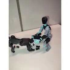 DUMY 13 DOG