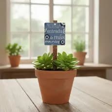 Kit 20 Plaquinhas de Jardim Enfeite Vasos Suculentas Decoração Resitente ás Intempéries