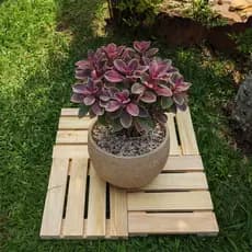 Suporte Para Vasos e Botijão Madeira Pinus Modular 28x28
