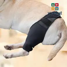 YVETTE Alívio Da Coxa Do Cachorro A Dor Malha Respirável Joelheira Protetora Das Juntas Anti-Lick Wound