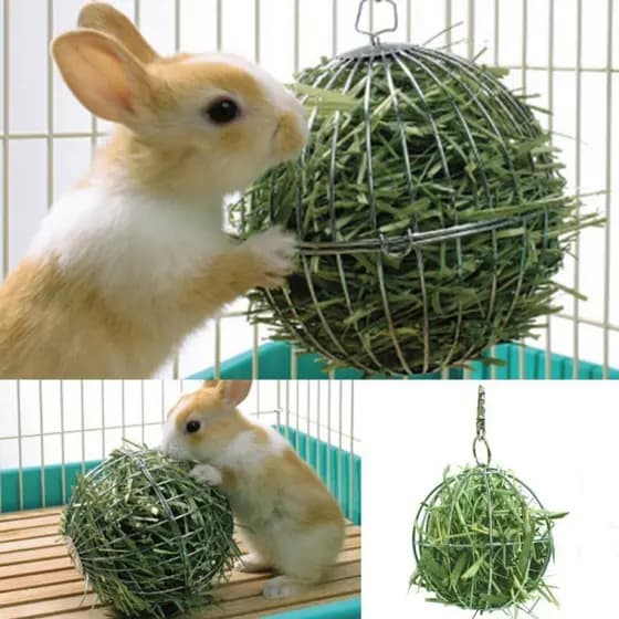 Suprimentos Para Animais De Estimação Feno Manjedoura Comida Bola Aço Inoxidável Chapeamento Grama Rack Coelho Cobaia Pe