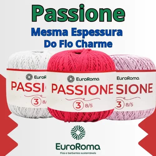 Linha Passione Euroroma N3 8/5 150G 400M Fio Ecológico Para Tapete Crochê Artesanato