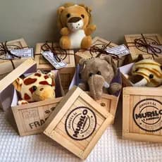 Caixa Safari Madagascar Personalizada Para Lembrancinha Chá de Bebê e Aniversário – Pegue & Monte – Pelúcia Não Inclusa