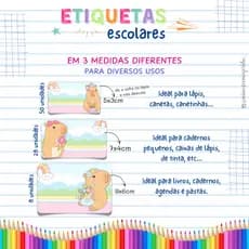 Etiqueta Escolar AVULSAS - Vários Temas | Material escolar | Volta às aulas | Adesivo Escolar