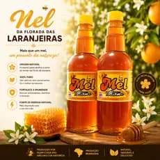 Mel 1,3kg Silvestre Florada Laranjeira