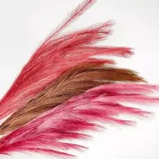 Haste de Capim dos Pampas Artificial 1,10 m  Para Decoração Arranjos, Plumas, Casamento  A-518