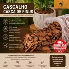 Cascalho Casca de Pinus P/ Decoração, Arranjos, Festas e casas madeira, vaso, planta, ornamentação