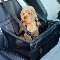 Cadeira Assento Transporte Protetor Premium Pet Carro Viagem Cães Gatos Até 10kg