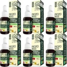 Kit com 6x Extrato Aquoso de Própolis Propomax 30ml - Apis Flora