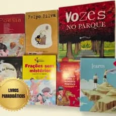 Livros Paradidáticos e Literários - Vários Títulos (Seminovos Impecáveis) - Leitura Escolar