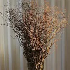 Galhos Secos para montagem de árvores, decoração de flores artificiais GLH01