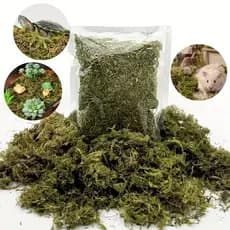 Musgo para Artesanato - Pacotinho com 20g
