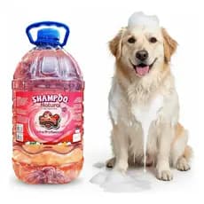 Shampoo Natural Multiespecie Condiciona Pelos Limpos 5L Pet Hidratação Limpeza Profunda Pelos Macios Cheirosos Banho
