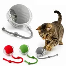 Bola Gatos Brinquedo Automatica Recarregavel Interativo Inteligente USB Colorido Durável Corda Antiestresse