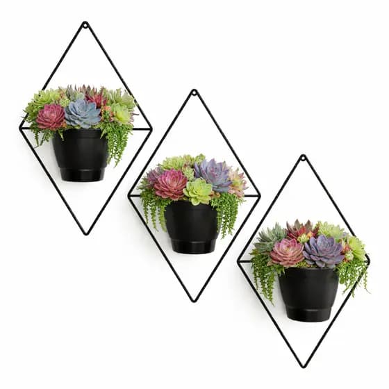 Kit 3 Vasos para Plantas Com Suporte Em Ferro Decoração De Parede Jardim Vaso de Flor