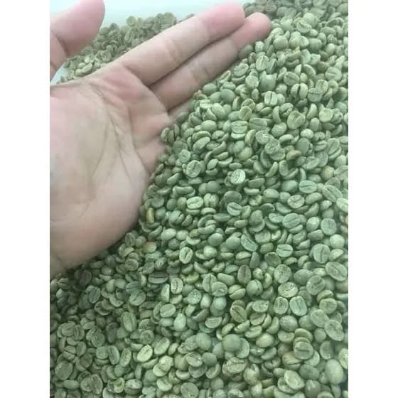café Em Grãos Cru 100% Arábica  - 1 Kg