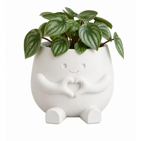 Vaso Coração Decorativo para Suculentas Plantas Pequenas e Decoração