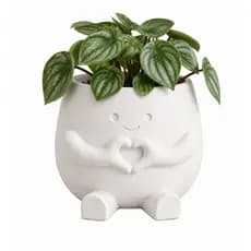 Vaso Coração Decorativo para Suculentas Plantas Pequenas e Decoração