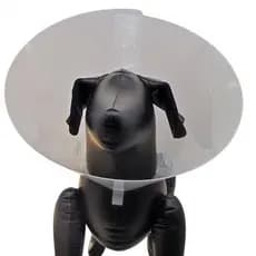 Colar Elizabetano Básico para cães e gatos - Qualidade Premium- Envio Imediato - Z4054