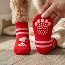 Meia pet meia para cachorro PEQUENO e gato - Antiderrapante - Contra frio e calor