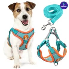 Kit Completo para Passeio: Coleira Peitoral + Guia para Cães e Gatos de Porte Pequeno a Médio