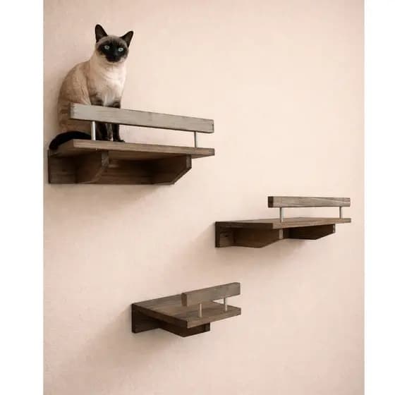 Playground para Gatos madeira Maciça Pinus Prateleira para Gatos com Proteção Playground de Gatos