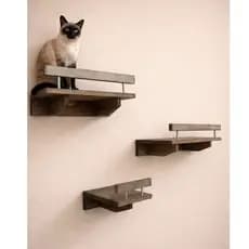 Playground para Gatos madeira Maciça Pinus Prateleira para Gatos com Proteção Playground de Gatos