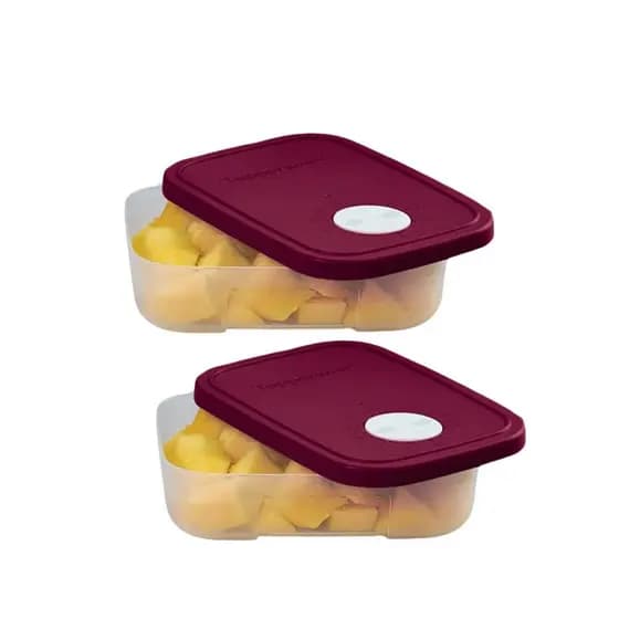 Tupperware Kit Pote Freezertime 300ml 2 peças