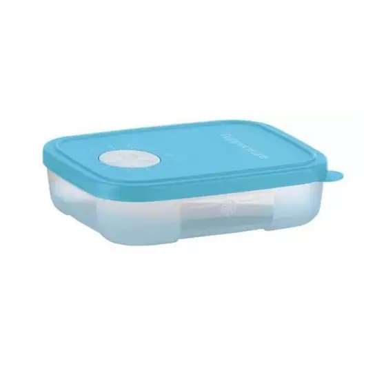 Tupperware Pote Freezertime 300ml