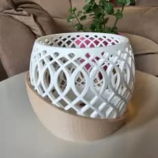 Vaso Moderno para Orquídea Decoração Flor Cachepô