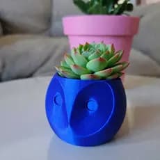 Mini vaso de Coruja, Vasinho de Coruja, Vasinhos para suculentas e cactos, Mini vasos divertidos.