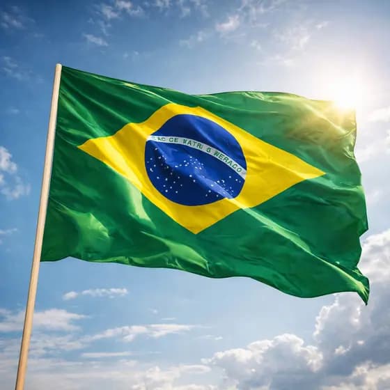 Bandeira Grande de Mastro Copa do Mundo Torcida / BRASIL
