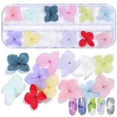 Flores Secas Grande Para Encapsulamento 12 Cores Unhas Decoração Na Caixa