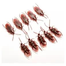 10 Barata de Brinquedo Mentira Realista Simulação Borracha Pegadinha Mágica