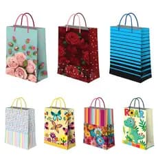 Kit 12/24/36 Sacolas Pequena Para Presente 22x16x4,5 Estampada