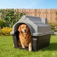 Casa Casinha Plastica De Cachorro Cães N5 Desmontável