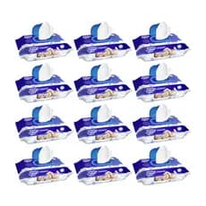 Toalha Umedecida Baby Byn Premium 1200 Folhas (12undX100fls)