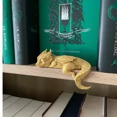 Quarta Asa Dragão Andarna Dormindo Livros