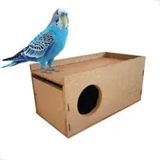 Ninho Periquito Calopsita Agapornis Mdf Casa Reprodução Aves