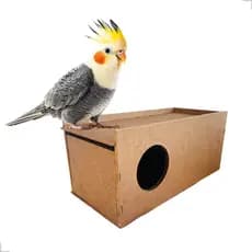 Ninho Calopsita Grande Mdf Casa Reprodução Aves Agapornis